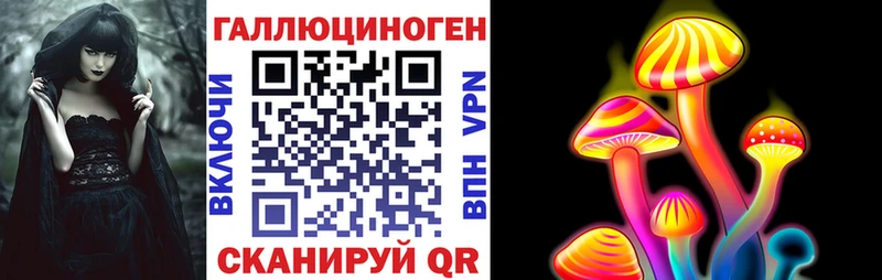 гидра рабочий сайт  Новороссийск  Галлюциногенные грибы мицелий 